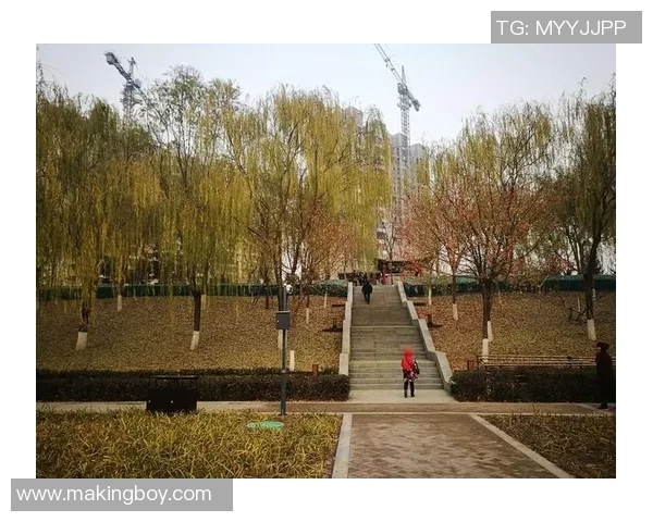 贾诚：在职场与生活中追求卓越与平衡的奋斗者之路